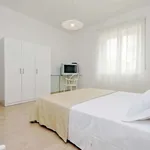 Rent 4 bedroom apartment in Rome