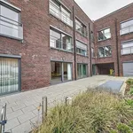 Huur 1 slaapkamer appartement in Mol