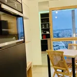 Rent 1 bedroom apartment of 27 m² in Lyon