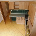 Rent 1 bedroom apartment of 48 m² in Pilsen