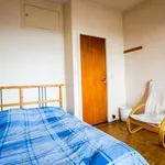 Rent a room of 120 m² in brussels