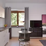 Rent 1 bedroom apartment of 23 m² in Brno