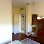 Rent 4 bedroom apartment of 145 m² in Padova