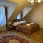 Rent 4 bedroom apartment of 110 m² in Plzeň