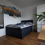 Miete 1 Schlafzimmer wohnung von 18 m² in Offenbach am Main