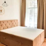 Rent 1 bedroom apartment in Prague