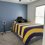 Rent 1 bedroom apartment in Castle Hills