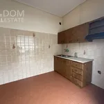 Rent 1 bedroom apartment in Municipal Unit of Lamia