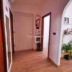 Rent 3 bedroom apartment of 60 m² in Trieste