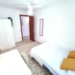 Rent a room of 100 m² in Sevilla