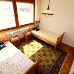 Rent 5 bedroom apartment in Brno