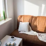 Rent a room in Lodz