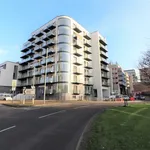 Rent 1 bedroom flat in Panorama Apartments, Uxbridge