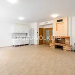 Rent 1 bedroom house of 350 m² in Prague