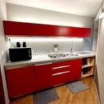 Rent 2 bedroom apartment of 40 m² in Turin