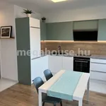 Rent 1 bedroom apartment of 64 m² in Budapest