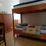 Rent 4 bedroom apartment of 100 m² in Cortina d'Ampezzo