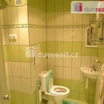 Rent 1 bedroom apartment in Karlovy Vary