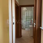 Rent 3 bedroom apartment of 77 m² in Candiolo