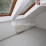 Rent 4 bedroom apartment of 120 m² in Dalovice