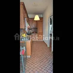 Rent 3 bedroom apartment of 75 m² in Piacenza