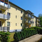 Rent 2 bedroom apartment of 45 m² in Gelsenkirchen