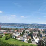 Suchen Sie eine Wohnung mit Blick auf den Zürichsee?