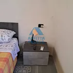 Rent 1 bedroom house of 12 m² in Pisa