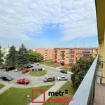 Pronájem bytu 1+1, 34 m2 -  Novosady, Litovel