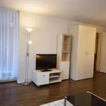 Miete 1 Schlafzimmer wohnung von 42 m² in Zürich