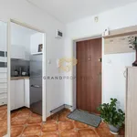 Rent 2 bedroom apartment of 40 m² in Warsaw