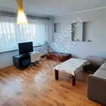 Rent 2 bedroom apartment of 49 m² in Włocławek