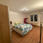 Rent 1 bedroom apartment of 710 m² in Basel