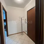 Rent 2 bedroom apartment of 73 m² in Torino