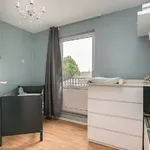 Rent 3 bedroom house in Sint