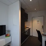 Miete 1 Schlafzimmer wohnung von 19 m² in Frankfurt am Main