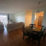 Rent 1 bedroom apartment in Kingston