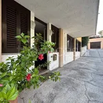 Rent 3 bedroom apartment of 63 m² in Porto Azzurro