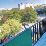 Rent 2 bedroom apartment of 37 m² in Poznan