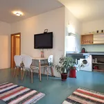 Pronajměte si 1 ložnic/e byt o rozloze 34 m² v Prague