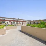 Rent 2 bedroom apartment of 126 m² in redondo beach