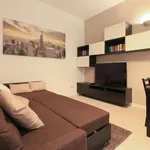 Rent 1 bedroom apartment of 55 m² in milan