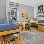 Rent 1 bedroom apartment in New York