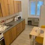 Rent 1 bedroom apartment of 70 m² in Brno