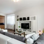 Rent 2 bedroom apartment of 52 m² in Prague