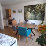 Rent 1 bedroom apartment of 33 m² in Dresden