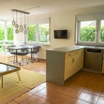 Bright, charming studio with garden terrace, Bad Vilbel - Amsterdam Apartments for Rent