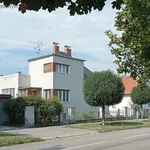 Rent 5 bedroom apartment in Mikulov