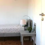 Rent 2 bedroom apartment of 55 m² in lisbon