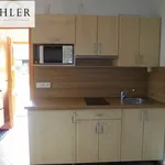 Rent 1 bedroom apartment in Pilsen